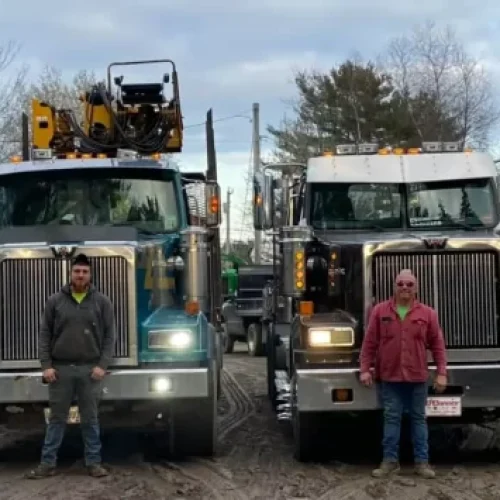 Dependable-Tree-Contractor-480x355