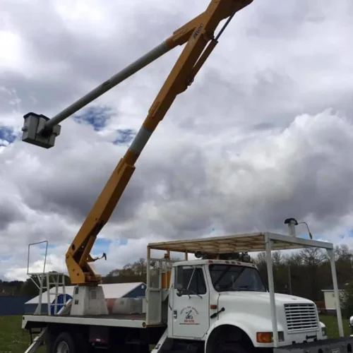 Excellent-Tree-Contractor