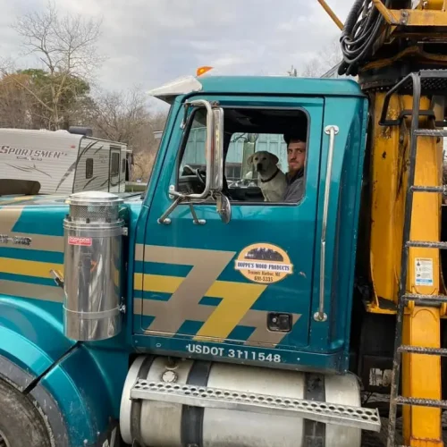 Reputable-Tree-Contractor