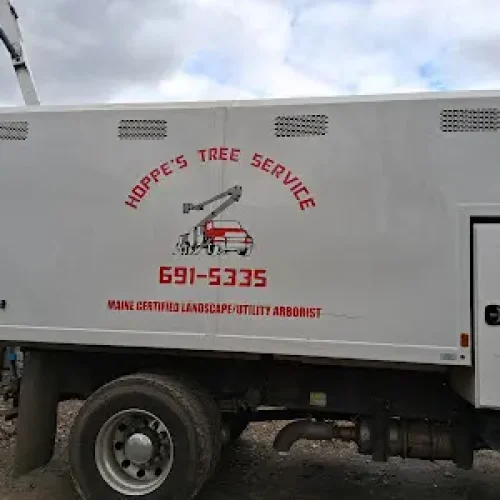 Reputable-Tree-Service