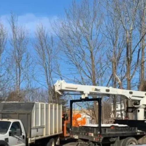 Tree-Removal-3-400x284