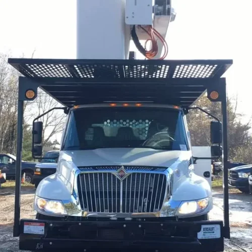 Tree-Removal-5-736x675