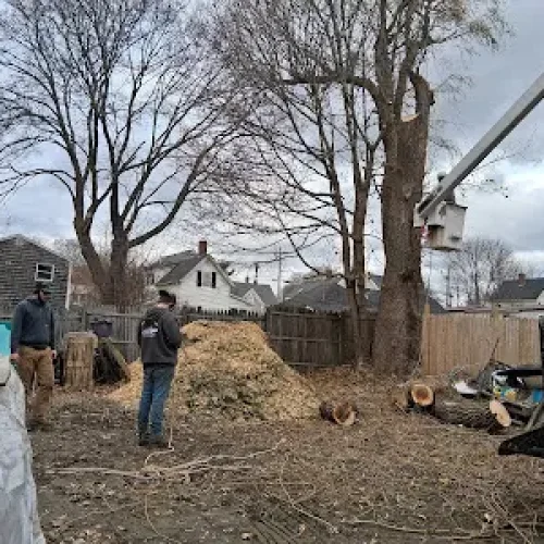 Trusted-Stump-Removal