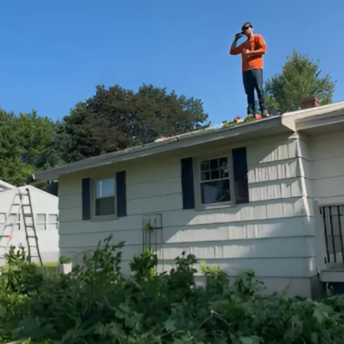 Trusted-Tree-Contractor-in-Tenants-Harbor-ME